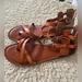 American Eagle Outfitters Shoes | American Eagle Leather Gladiator Sandals | Color: Brown/Tan | Size: 10