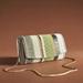 Anthropologie Bags | New Anthropologie Striped Beaded Clutch!! | Color: Green/Silver | Size: Os
