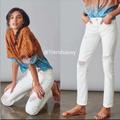 Anthropologie Jeans | Anthropologie Pilcro Boyfriend Distressed Ripped Jean White Size 31 Nwt | Color: White | Size: 31