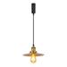 Kiven J-Type Track Lighting 1-Light Modern Juno Track Pendant Light Adjustable Length Brass Finish