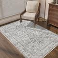 RUGKING Doormat 3x5 Entryway Area Rug Washable Rug Non-Slip Indoor Floor Cover Persian Small Rug Accent Throw Rug Thin Rug for Kitchen Bathroom Bedroom Taupe
