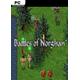 Battles of Norghan PC