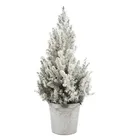 Verve 70Cm White Spruce Pyramid Pot Grown Christmas Tree