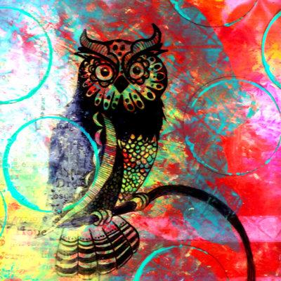Bungalow Rose Sophia Buddenhagen Color Owl by Sophia Buddenhagen - Wrapped Canvas Print Canvas in Black/Orange | 12 H x 12 W x 1.25 D in | Wayfair
