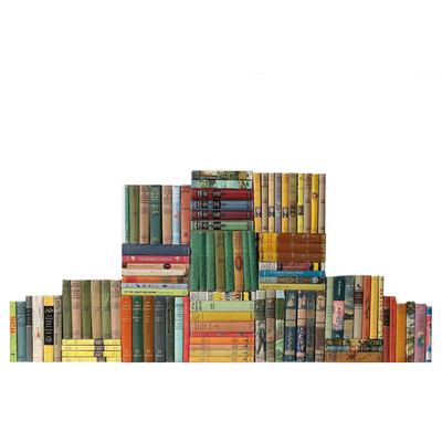 Books Decorative Accessories: Vintage Curated Children Classics, S/100