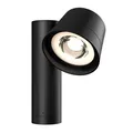 DALS Lighting Orbit LED Outdoor Smart Spot Light - DCP-SPT6-BK