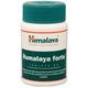 Himalaya Rumalaya Forte - 60 tablets