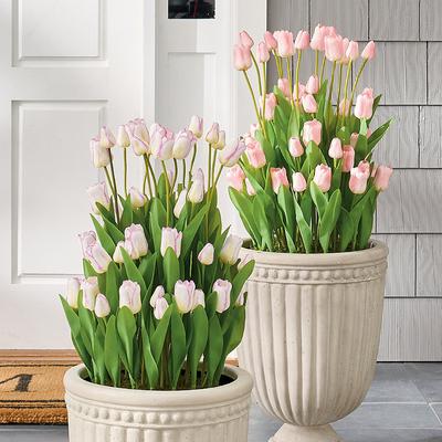 Blooming Tulip Urn Filler - White/Purple - Grandin...