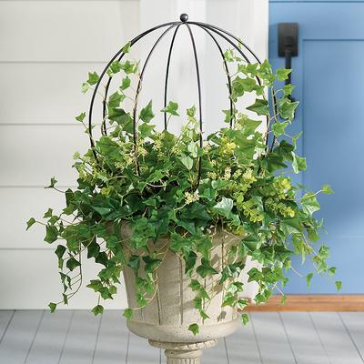 Isla Ivy Urn Filler With Cage - Grandin Road