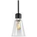 Zigrina 7" E26 Clear Bell Glass Pendant, Black with Nickel Metal Finis