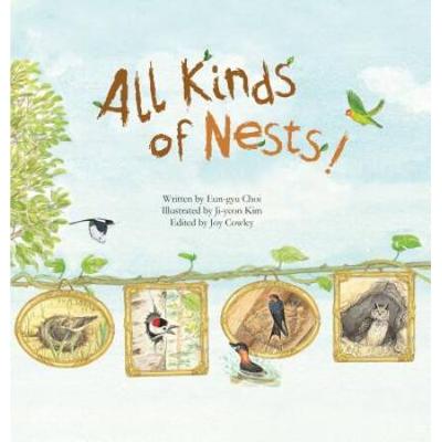 All Kinds Of Nests!: Birds