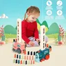 Kids Domino Train Car Set Sound Light posa automatica Domino Brick Colorful Domino Blocks gioco