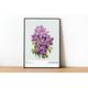 Clematis Flower Wall Art | Clematis Flower Print | Floral Print | Purple Flowers | Vintage Botanical Wall Art | Home Decor | Flower Market