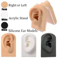Weiche Silikon Ohr Modell Für hörgerät 1:1 menschlichen Körper Teil Modell Professionelle Display