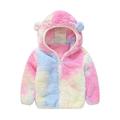 Baby Boys Girls Winter Long Sleeve Coats Hoods Plush Thick Hooded Teddy Jacket Toddle Kids Cute Fleece Zipper Sweatshirt Windproof Warm Tops 2-3 Years