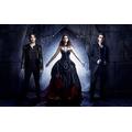 ANSNOW Jigsaw Puzzle the Vampire Diaries Character -Ag5 1000 Piece Funny Jigsaw Puzzles Wooden for Adults 1000 Piece 75X50Cm is the Friends and Family