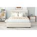 Latitude Run® Mariyon Queen Tufted Storage Standard Bed in Brown | Wayfair 9084AB236F584A01877113F3775B2BD5