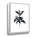 Winston Porter Inked Blossoms II On Canvas by House Fenway Print Canvas, Glass in White | 36 H x 48 W x 2 D in | Wayfair