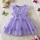 Sommer Mädchen Kinder Kleid neue Mädchen Spitze Mesh Tutu Schmetterling Blumen kleid Kinder lässig