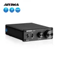 AIYIMA A1001 100W Amplificatore subwoofer TPA3116 Amplificatore di potenza Altoparlante Amplificatore audio Classe D digitale Mono Home Audio AMP