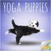 Yoga Puppies Calendar 2024 -- Deluxe 2024 Yoga Puppies Wall Calendar Bundle with Over 100 Calendar Stickers (Yoga Puppies Gifts Office Supplies)