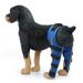 Dog Knee Brace Adjustable Dog Double Rear Leg Brace with Metal Hinged Flexible Support and Reflective Seat Belts(Blue) - M