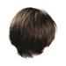 Skpblutn Human Hair Wig Festival Wig Men Short Hair Perfect Cosplay For Carnivals Fashion Party wig Headband Wigs Brown