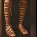 Free People Shoes | New Free People Sun Chaser Tall Gladiator Sandal / Tan Size 40 | Color: Brown | Size: 40