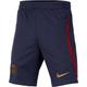 Nike Unisex Kinder Shorts PSG Y Nk Df Strk Short Kz, Blackened Blue/Team Red/Gold Suede, DX3214-498, XL