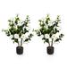 Costway 38 Inch Artificial Camellia Tree Faux Flower Plant in Cement Pot 2 Pack-White