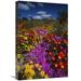Global Gallery 16 x 24 in. Dewflowers & Other Blooms Little Karoo South Africa Art Print - Tui De Roy
