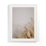 Hokku Designs Dried Floral I by Annie Spratt - Single Picture Frame Print Paper in White | 48 H x 36 W x 2.5 D in | Wayfair