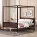 Red Barrel Studio® Antorion Solid Wood Canopy Bed Wood in Brown | 74.8 H x 83.9 W x 62.7 D in | Wayfair 64A5980A8C5C40328192A69DE02DA58C