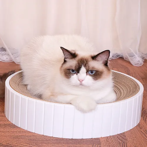 Heiß verkaufen Katze Kätzchen Papier Pappe Wellpappe Scratch Board Pad Kratzer Bett matte Krallen