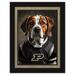 Purdue Boilermakers 12'' x 16'' Framed Dog In Jersey Print