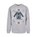 Rundhalspullover F4NT4STIC "F4NT4STIC Herren Harry-Potter-Christmas-Knit with Basic Crewneck" Gr. 4XL, grau (heathergrey) Herren Pullover Rundhalspullover