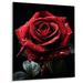 Bungalow Rose Red Black Rose Elegance I - Floral Metal Wall Art Metal in Black/Red | 20 H x 12 W x 1 D in | Wayfair