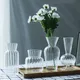 Vase à fleurs en verre transparent de style nordique bouteille de fleurs ornements créatifs pot