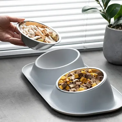 Katze Welpen Futters chale Doppel Haustier Schalen Hundefutter Wasser Feeder Edelstahl Haustier Image