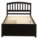 Red Barrel Studio® Richara Platform Storage Bed Wood in Brown | 37.5 H x 79.5 W x 41.7 D in | Wayfair C05100889BA2493C81F58EE020421C44