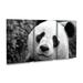 Red Barrel Studio® SD Smart Giant Panda 3 Piece Panel Set Art Canvas, Cotton in White | 19 H x 36 W x 2 D in | Wayfair