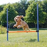 TRIXIE Dog Agility Hurdle Portable Dog Agility Training Adjustable Jumper Exercise Tool
