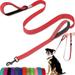 Dog Lead - With Two Padded Handles Two Dog Leads Modes Double-Sided Reflective Nylon Dog Leash for Training&Walking Perfect for Medium &Large Dogs