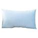 iOPQO Pillow Case Super Soft Rectangular Velvet Pillowcase Solid Color Lumbar Pillow Pillowcase (without pillow core) 30X50cm ice blue A