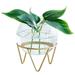 Office Ornaments Iron Art Spherical Shape Home Decoration Flower Arrangement Hydroponic Vase Glass Vase Plant Flower Pot GOLD