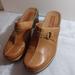 American Eagle Outfitters Shoes | American Eagle Brazilian Made Women's Clogs Size 37 U.S Size 7 | Color: Brown | Size: 7