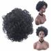 Xipoxipdo African Short Curly Hair Women s Fashion European And American Puffy Black Small Curly Wig Set