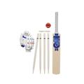 Gunn & Moore GM Young Gunn Cricket Set | Mana | Cricket Bat, Soft Ball, Batting Gloves, Stumps & Bail and Carry Bag | Size 2