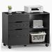 Inbox Zero Magiera 3 Drawer Mobile Lateral File Cabinet Wood in Brown | 29 H x 31 W x 15 D in | Wayfair 8E44DED5C410471ABB24D6ABCB92466B