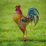 Garden Statues For Outside Metal Rooster Outdoors Metal Rooster for Garden Statues & Sculptures Metal Chicken Yard Decor Chicken Yard Art Decor Standing Animal Lawn Ornament for Backyard Patio